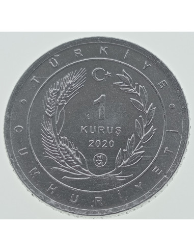Awers monety Turcja 1 Kurusz 2020 Szczudłak zwyczajny