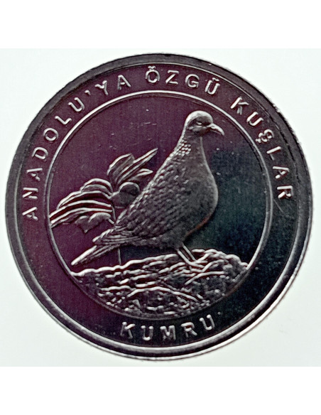 Awers monety Turcja 1 Kurusz 2020 Kuropatwa Chukar.