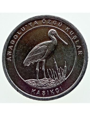 Awers monety Turcja 1 Kurusz 2020 Spoonbill