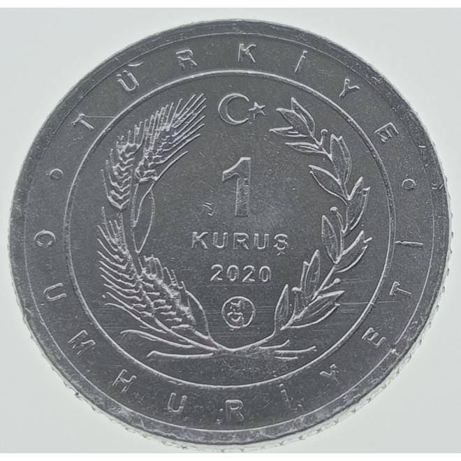 Rewers monety Turcja 1 Kurusz 2020 Woodlark