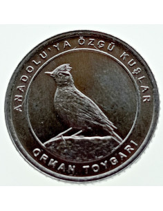Awers monety Turcja 1 Kurusz 2020 Woodlark