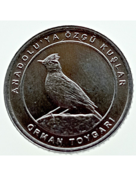 Awers monety Turcja 1 Kurusz 2020 Woodlark