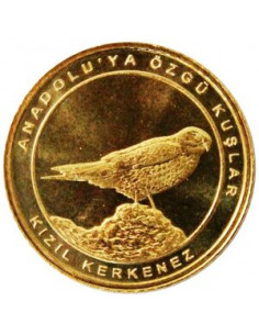 Awers monety Turcja 1 Kurusz 2021