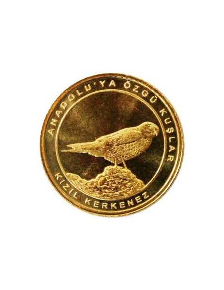 Awers monety Turcja 1 Kurusz 2021