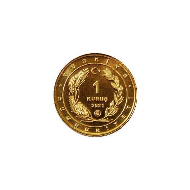 Rewers monety Turcja 1 Kurusz 2021