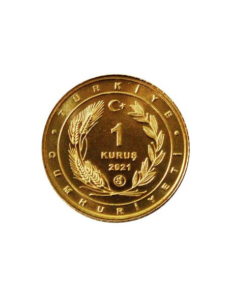 Rewers monety Turcja 1 Kurusz 2021