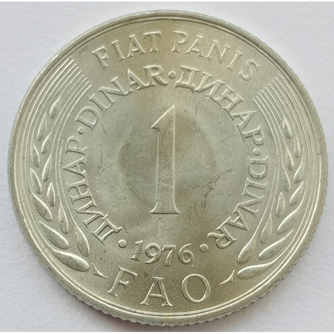 Rewers monety Jugosławia 1 Dinar 1976 F.A.O.
