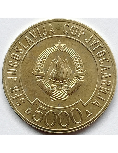 Rewers monety Jugosławia 5 000 Dinar 1989 Szczyt Państw Niezaangażowanych