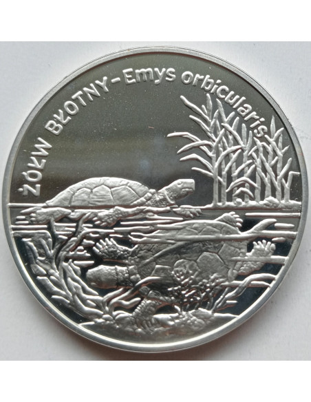 Awers monety 20 Złotych 2002 Zwierzęta świata żółw błotny