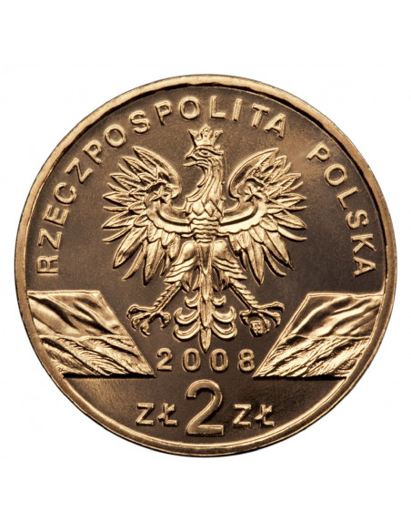 Rewers monety 2 zł 2008 Zwierzęta świata: Sokół wędrowny woreczek 50 szt.