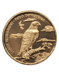 Awers monety 2 zł 2008 Zwierzęta świata: Sokół wędrowny woreczek 50 szt. 2