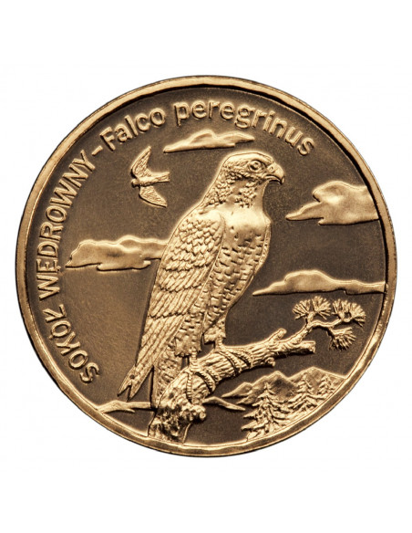 Rewers monety 2 zł 2008 Zwierzęta świata: Sokół wędrowny woreczek 50 szt.