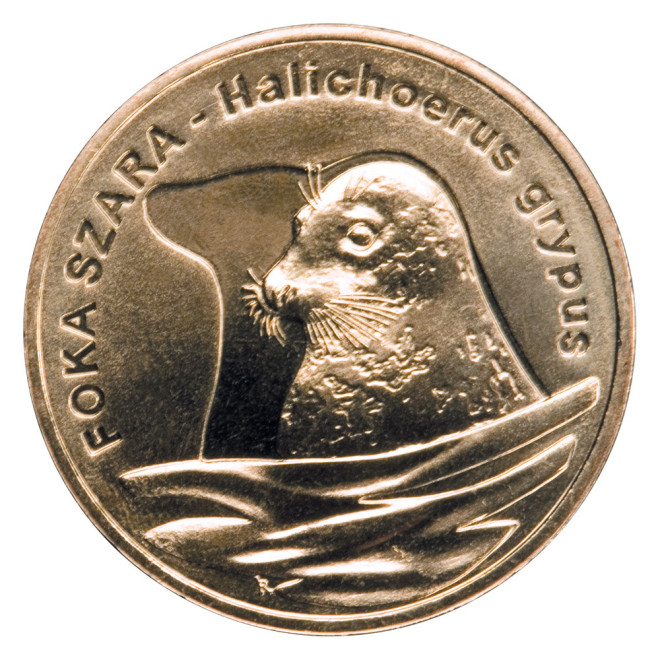Rewers monety 2 zł 2007 Zwierzęta świata: Foka szara woreczek 50 szt.