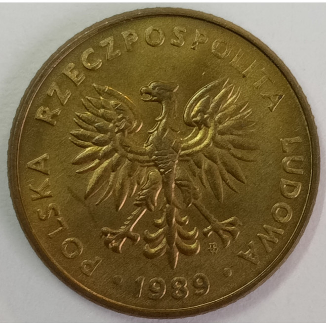 Rewers monety 10 Złotych 1989