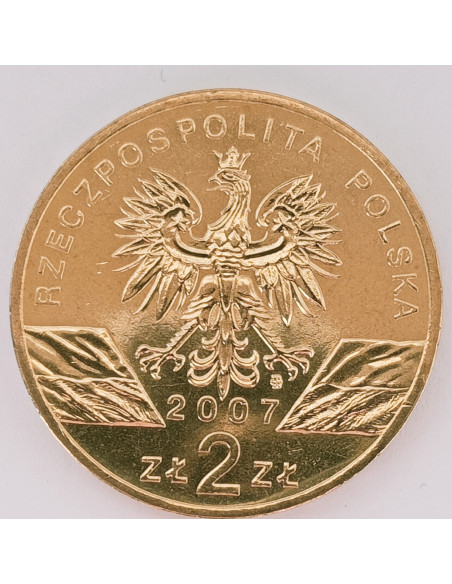 Rewers monety 2 zł 2007 Zwierzęta świata: Foka szara łac. Halichoerus grypus