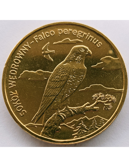 Awers monety 2 zł 2008 Zwierzęta świata: Sokół wędrowny łac. Falco peregrinus