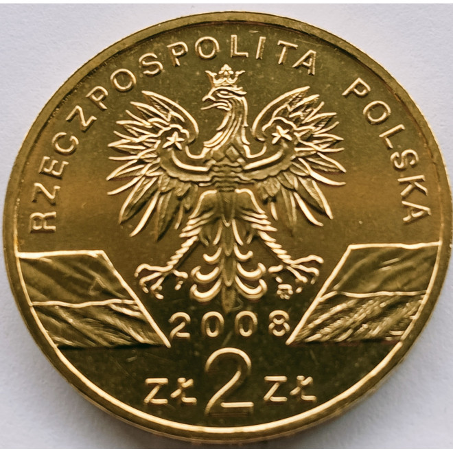 Rewers monety 2 zł 2008 Zwierzęta świata: Sokół wędrowny łac. Falco peregrinus