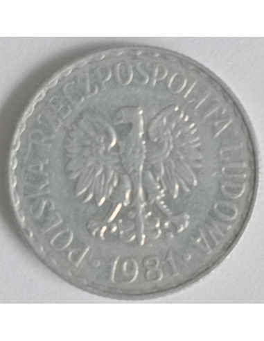 Awers monety 1 Złoty 1981