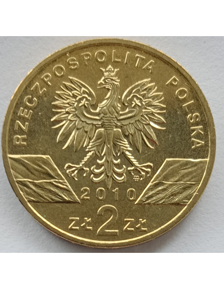Rewers monety 2 zł 2010 Zwierzęta świata – podkowiec mały łac. Rhinolophus hipposideros
