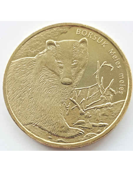 Awers monety 2 zł 2011 Zwierzęta świata – borsuk Meles meles
