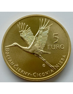 Awers monety Słowacja 5 euro 2023 Bocian czarny