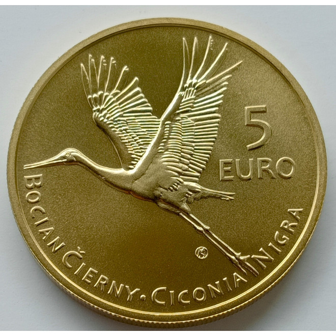 Awers monety Słowacja 5 euro 2023 Bocian czarny