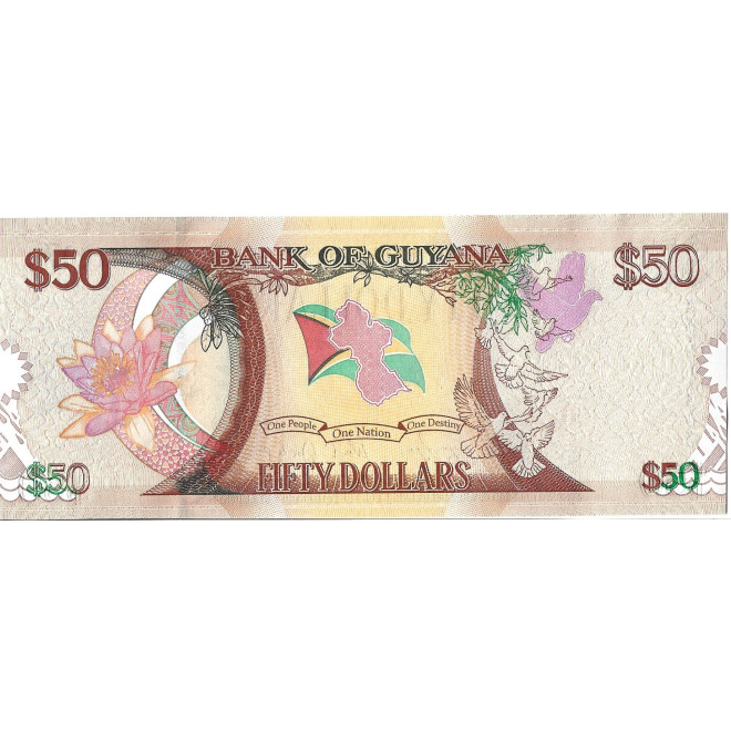Tył banknotu Gujana 50 Dolarów 2016 UNC