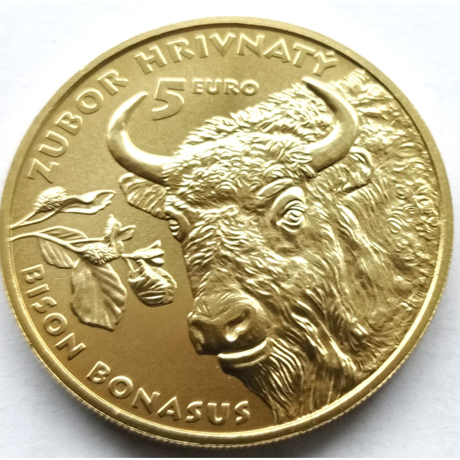 Rewers monety Słowacja 5 euro 2024 Żubr