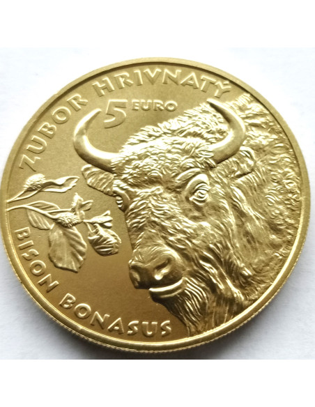 Rewers monety Słowacja 5 euro 2024 Żubr