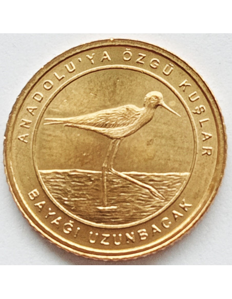 Moneta Turcja 1 Kurusz 2021