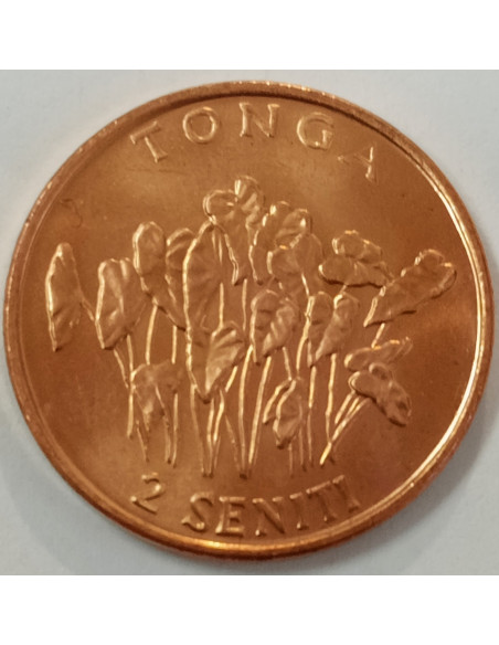 Moneta Tonga 2 Seniti 2002