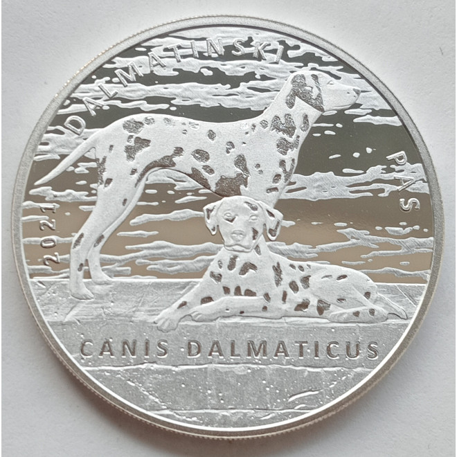 Moneta Chorwacja 5 Kuna 2019