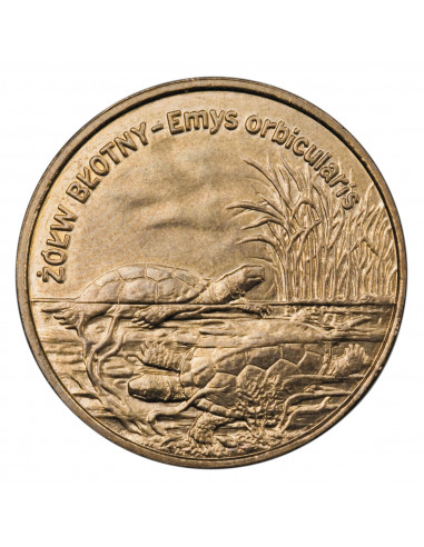 Awers monety 2 zł 2002 Zwierzęta świata: Żółw błotny Emys orbicularis