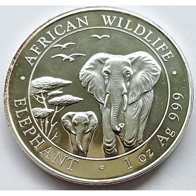 Awers monety Somalia 100 Szylingów 2015 Fauna Afryki słoń