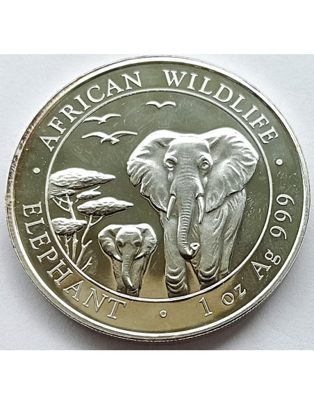 Awers monety Somalia 100 Szylingów 2015 Fauna Afryki słoń