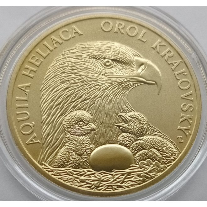 Moneta Słowacja 5 euro 2024 Żubr
