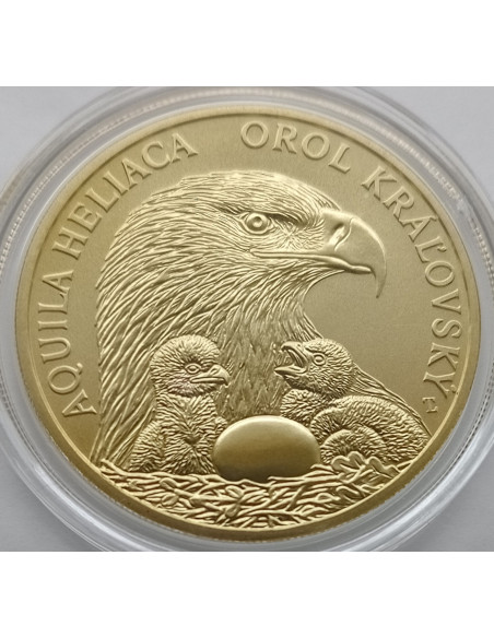 Moneta Słowacja 5 euro 2024 Żubr