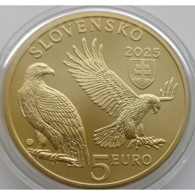 Moneta Słowacja 5 euro 2024 Żubr