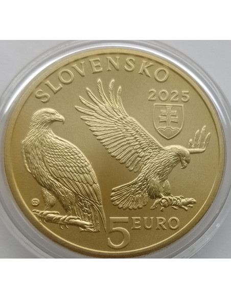 Moneta Słowacja 5 euro 2024 Żubr