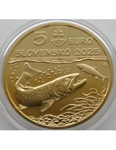 Moneta Słowacja 5 euro 2024 Żubr