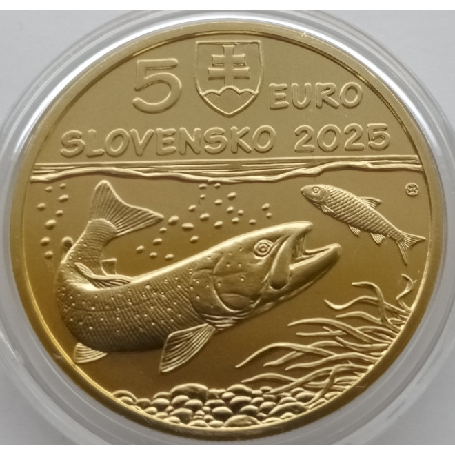 Moneta Słowacja 5 euro 2024 Żubr