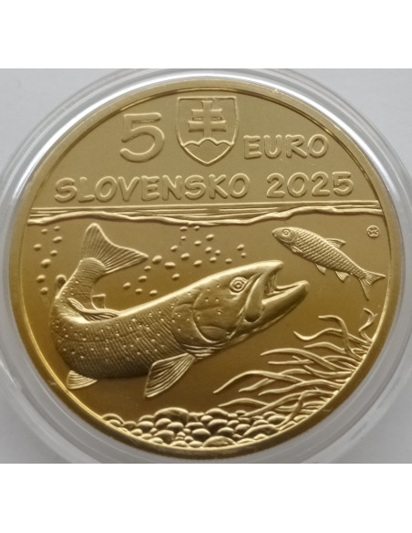 Moneta Słowacja 5 euro 2024 Żubr