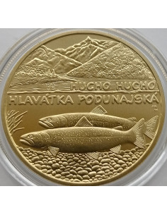 Moneta Słowacja 5 euro 2024 Żubr 2