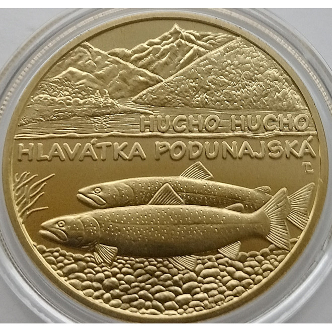 Moneta Słowacja 5 euro 2024 Żubr