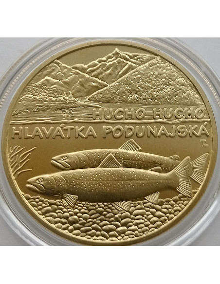 Moneta Słowacja 5 euro 2024 Żubr
