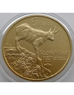 Moneta Słowacja 5 euro 2024 Żubr
