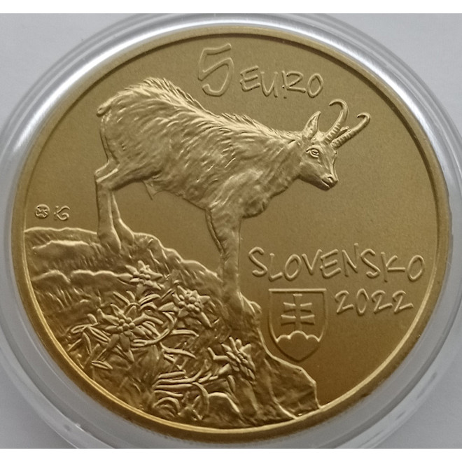Moneta Słowacja 5 euro 2024 Żubr