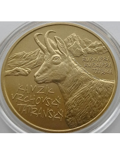 Moneta Słowacja 5 euro 2024 Żubr 2