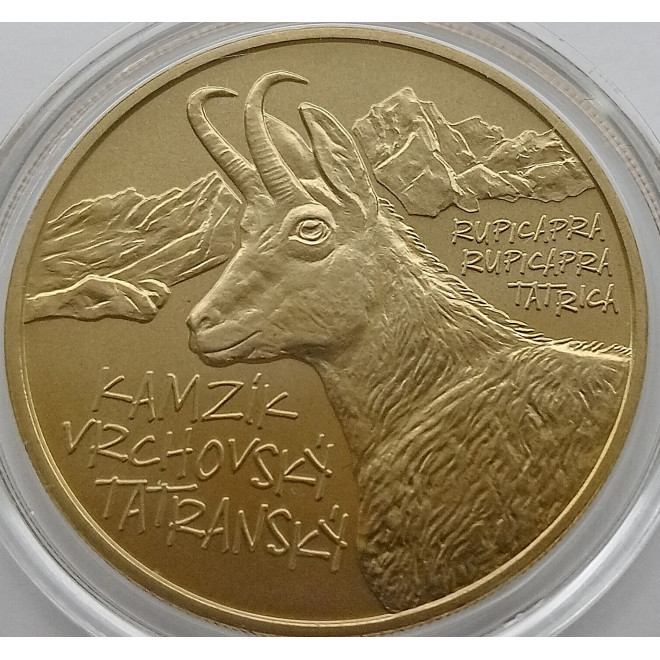 Moneta Słowacja 5 euro 2024 Żubr