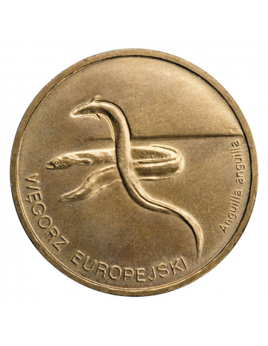 Awers monety 2 zł 2003 Zwierzęta świata: Węgorz europejski łac. Anguilla anguilla
